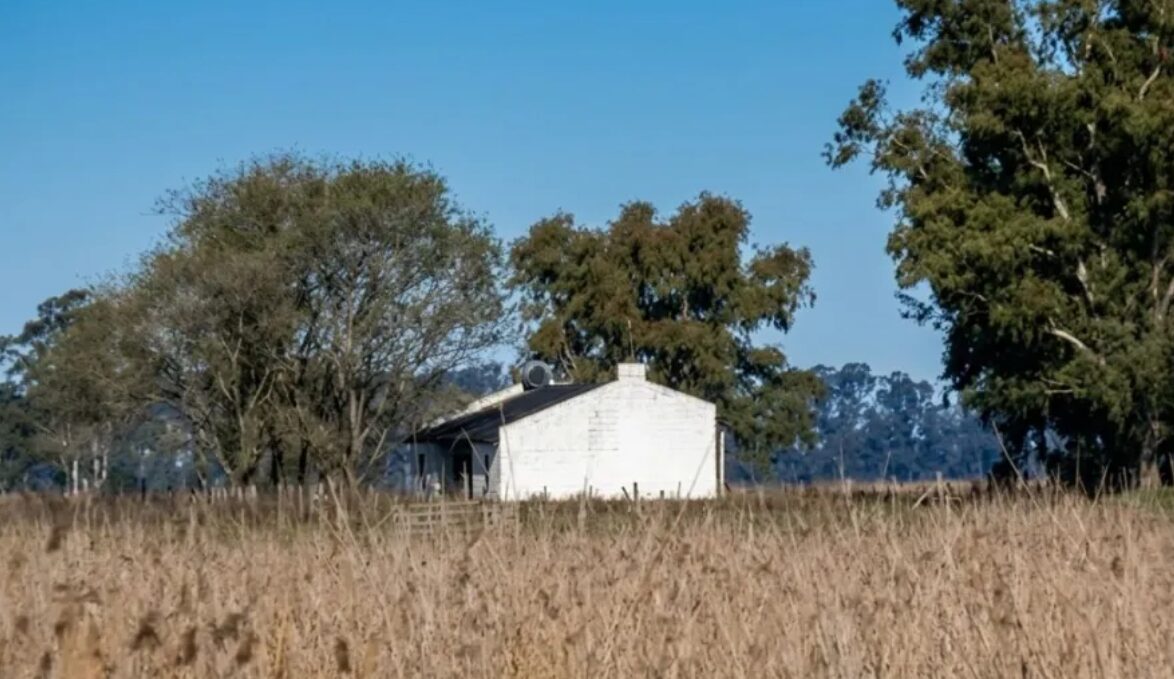 Una de cada cuatro viviendas en el campo argentino están vacías. Tejido en Informe Construcción.